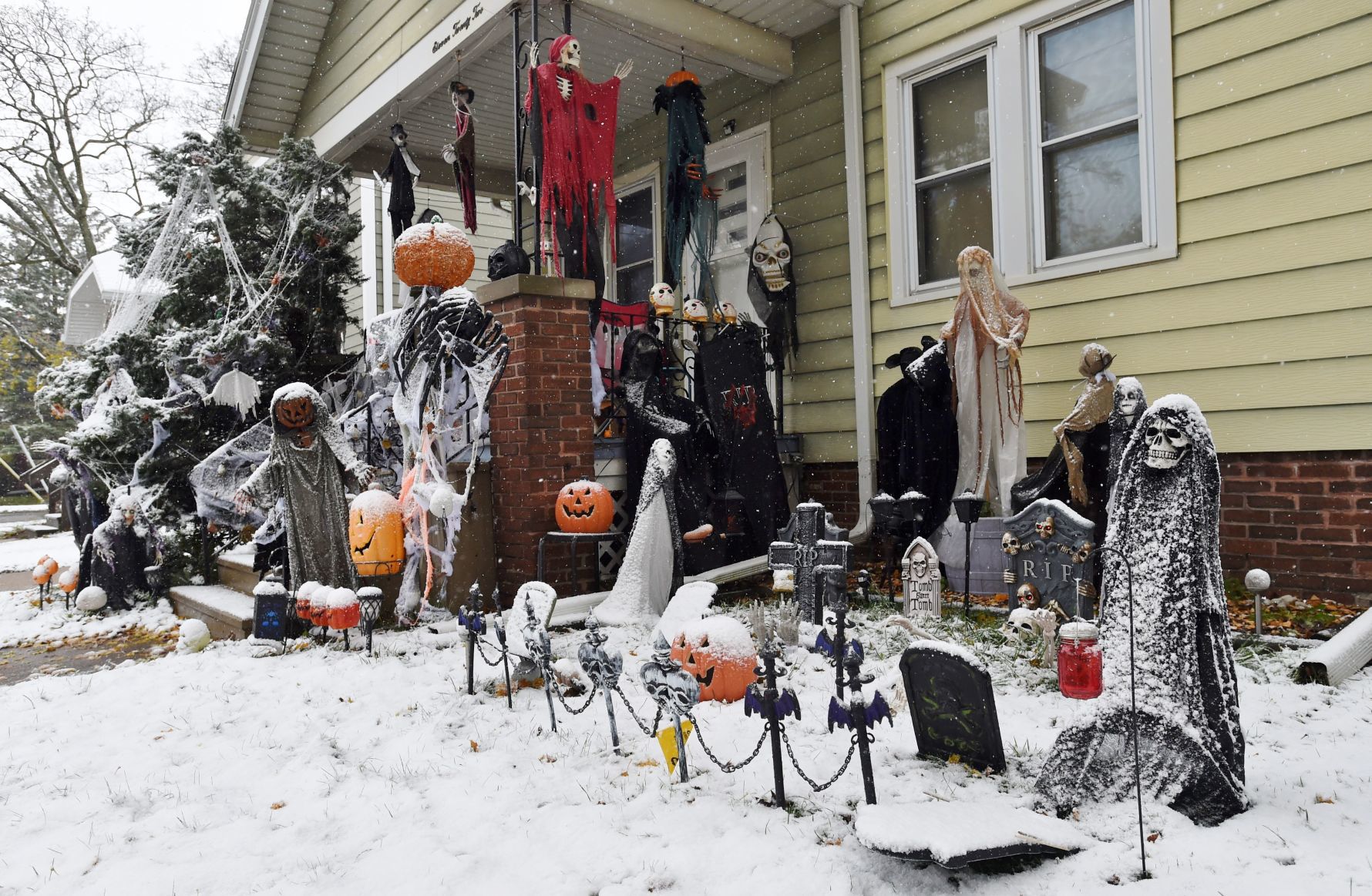 This is Halloween?
